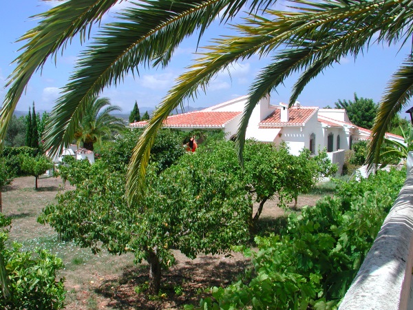 Ferienhaus in Javea an der Costa Blanca Baumgarten
